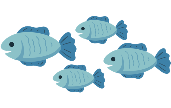 fische 590x372
