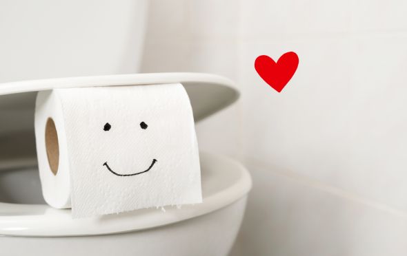 Die Toilette und das Klopapier 