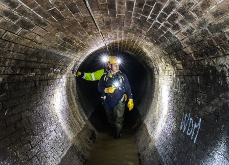 bi Hauptsammleruntersuchung